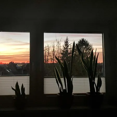 Amsel Apartment
